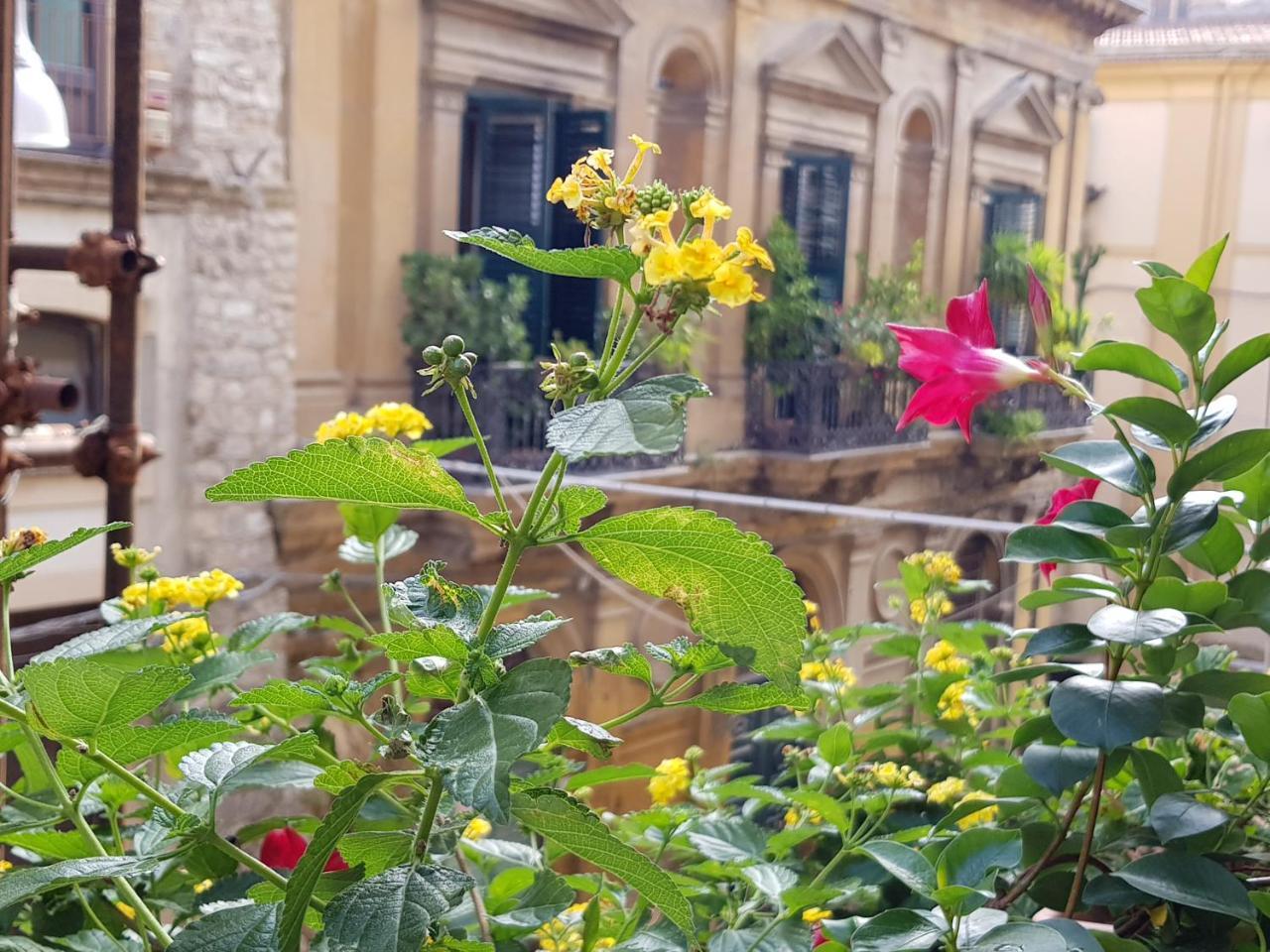 卡尔塔尼塞塔Casa Coccinella住宿加早餐旅馆 外观 照片